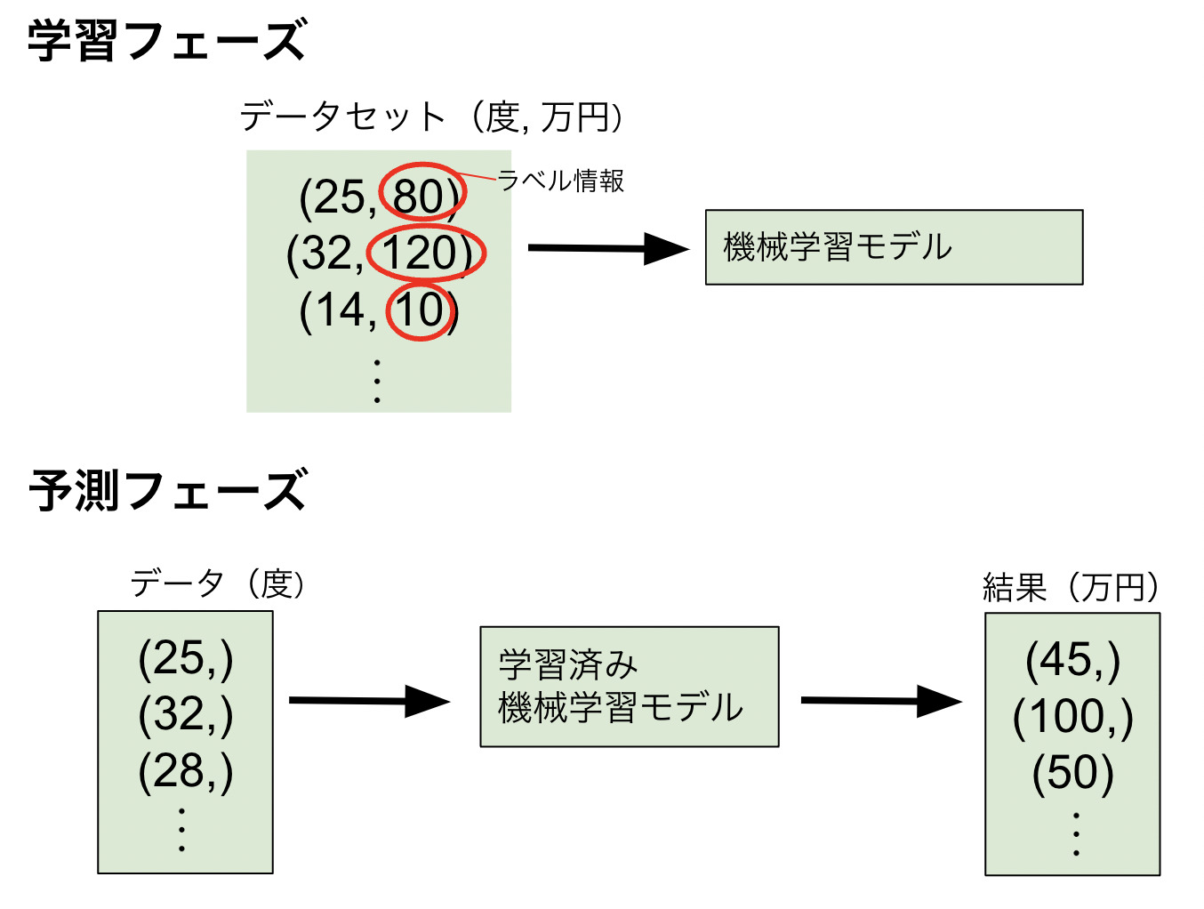 データ概要